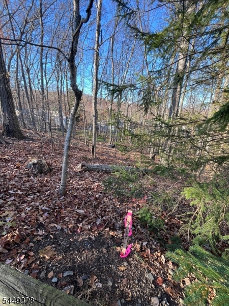 22 Mountain Rd