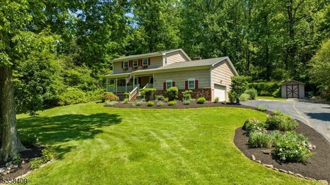 188 Bellis Rd. Holland Twp. NJ 08848