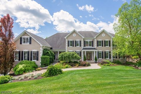 39 Crown View Ct Sparta Twp. NJ 07871
