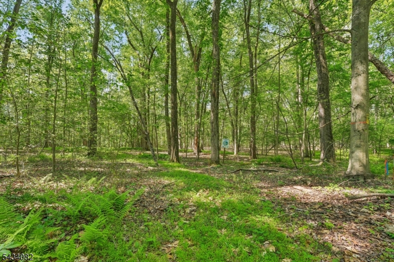 0 Homestead Rd