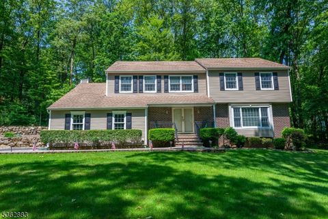 11 Timberline Dr Roxbury Twp. NJ 07836