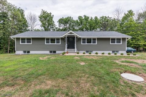 463 Little York Mt. Pleasant 1 Holland Twp. NJ 08848