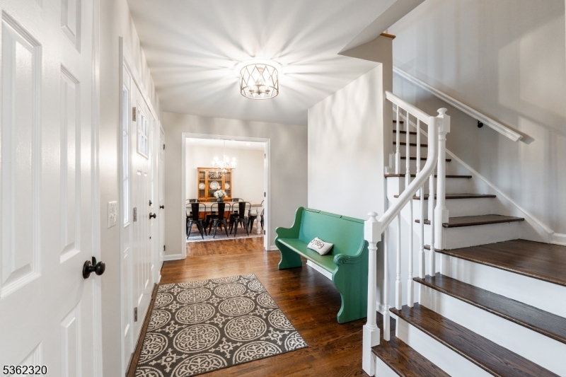 41 Wilkinson Rd