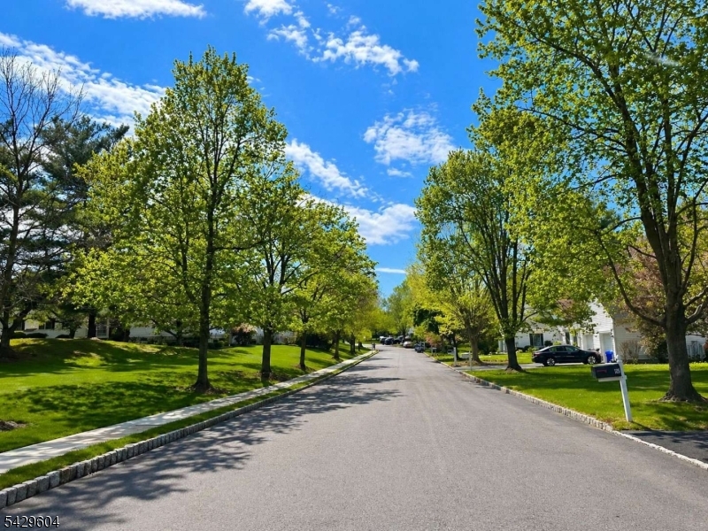 170 Smithfield Ct