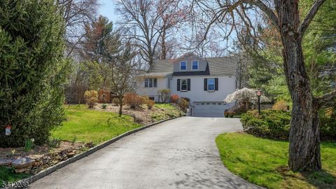 67 Madison St Long Hill Twp. NJ 07933