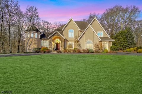 5 High Mountain Drive Montville Twp. NJ 07045