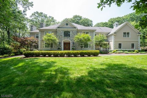 7 Timber Ridge Rd Mendham Twp. NJ 07931