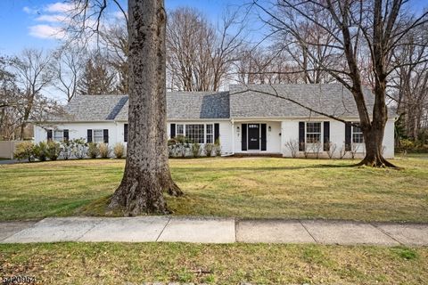 7 Village Rd Florham Park Boro NJ 07932