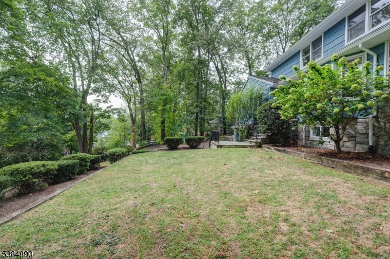 15 Ball Rd