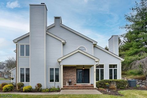 12 Aynsley Ct Montville Twp. NJ 07045