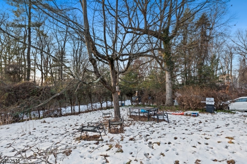 155 Mount Pleasant Ave