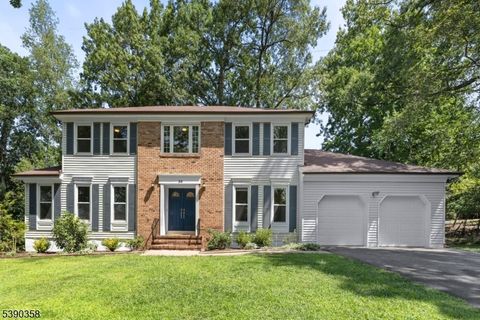 36 Scarsdale Dr Livingston Twp. NJ 07039