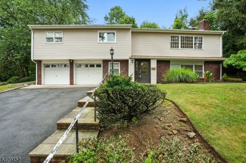32 Kearny Terrace Livingston Twp. NJ 07039