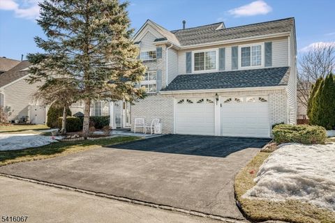 13 Little Doe Run Jefferson Twp. NJ 07438