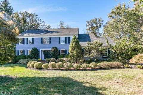 135 Woods End Dr Bernards Twp. NJ 07920