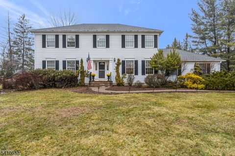 13 Grandview Cir Raritan Twp. NJ 08822