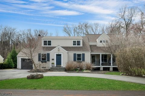 4 Center Dr Mountain Lakes Boro NJ 07046