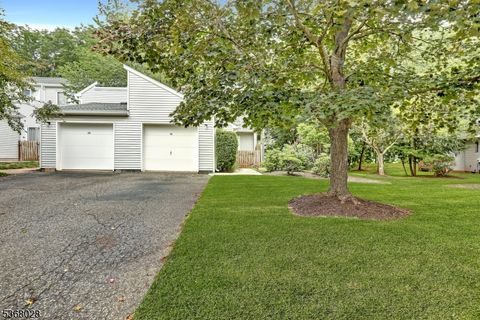 15 Krenkel Ct Raritan Twp. NJ 08822