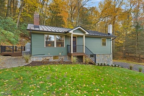 1 South Trl Sandyston Twp. NJ 07826