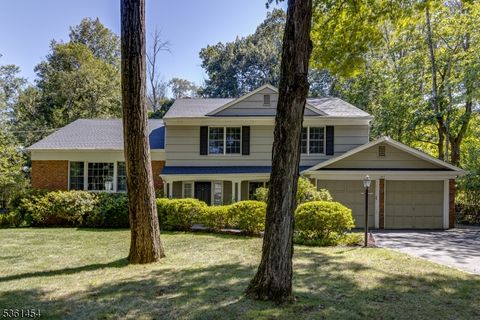 211 Lorraine Dr Berkeley Heights Twp. NJ 07922