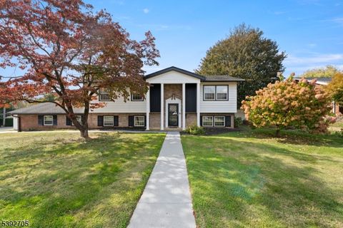 Photo of 418 Liggett Blvd, Pohatcong, NJ 08865 (MLS # 3993757)