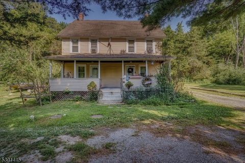 1049 County Road 521 Stillwater Twp. NJ 07860