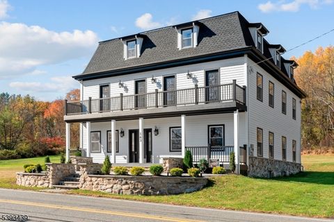 163 County Road 645 Sandyston Twp. NJ 07826