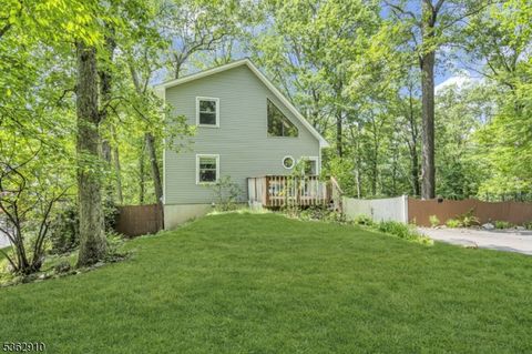 72 Quenby Mountain Rd Liberty Twp. NJ 07838