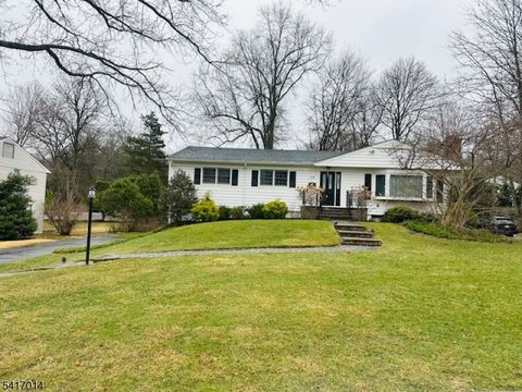 39 Gallinson Dr Berkeley Heights Twp. NJ 07974