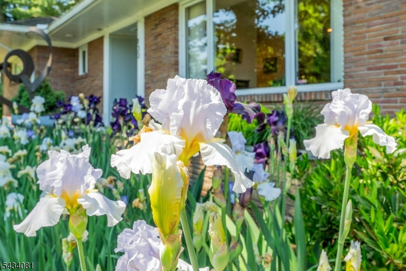 130 Pearl Brook Dr