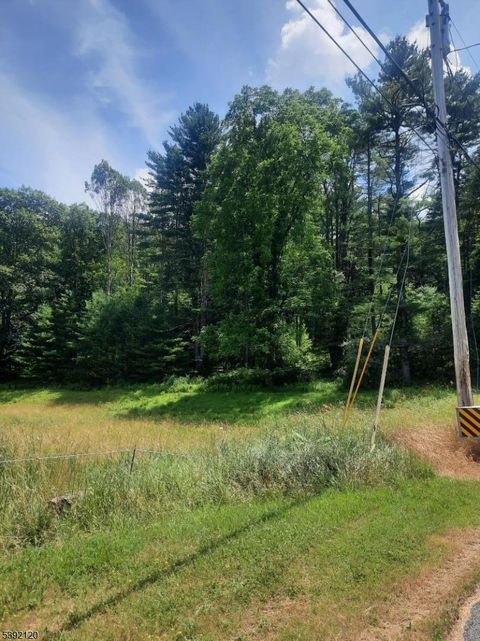 37 New Mashipacong Rd Montague Twp. NJ 07827