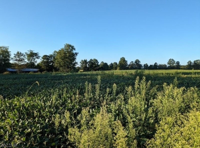 554-560 Oak Grove Rd