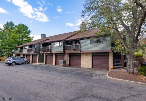 Photo of 54 Meadowview Dr, Clinton, NJ 08801 (MLS # 3995969)