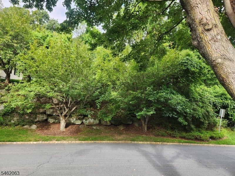 45 Bridle Way