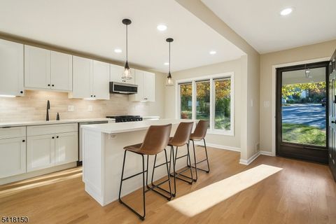 16 Minnisink Dr Roseland Boro NJ 07068