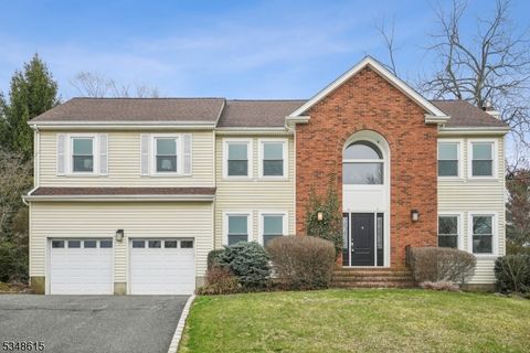 12 Baumgartner Dr Madison Boro NJ 07940