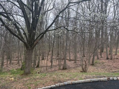 14 Cathy Ln Mount Olive Twp. NJ 07836