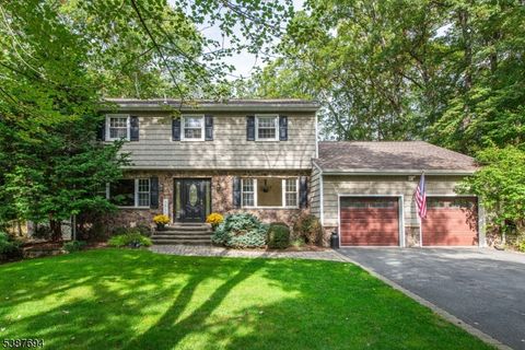 13 HOLLY DR Randolph Twp. NJ 07869