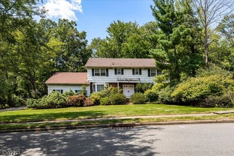 10 Flanders Dr Montville Twp. NJ 07058