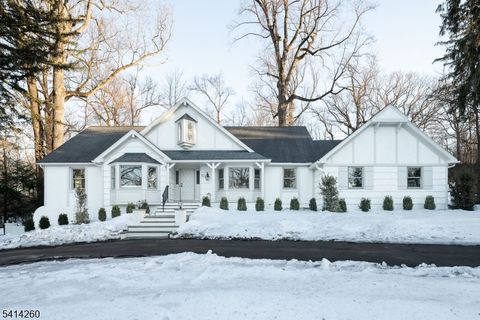 15 Squirrel Run Morris Twp. NJ 07960