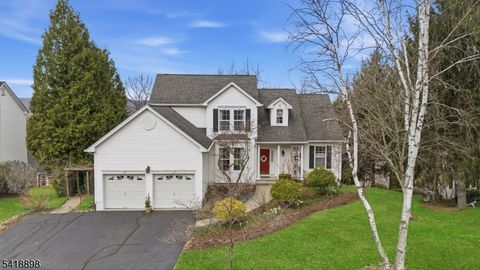 61 Canada Goose Dr Allamuchy Twp. NJ 07840