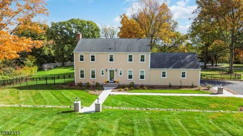 6 Raleigh Ct Morris Twp. NJ 07960