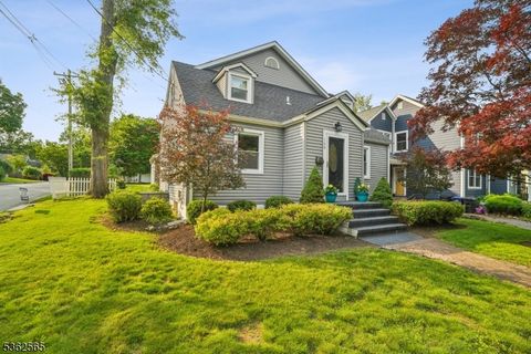 149 N Hillside Ave Chatham Boro NJ 07928