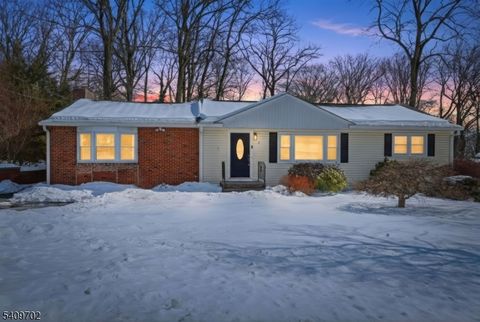 8 Cherry Ln Randolph Twp. NJ 07869