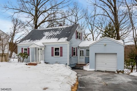 239 Fox Hill Rd Parsippany-Troy Hills Twp. NJ 07834