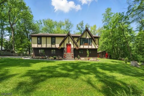 111 Redgate Rd Parsippany-Troy Hills Twp. NJ 07005