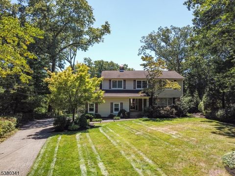 16 Macleay Rd Montville Twp. NJ 07045
