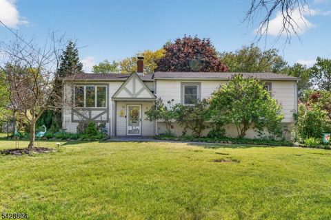 17 Lynn Ct Hillsborough Twp. NJ 08844