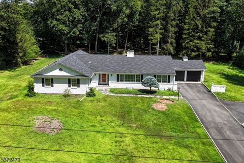 47 Twin Brooks Rd Saddle River Boro NJ 07458