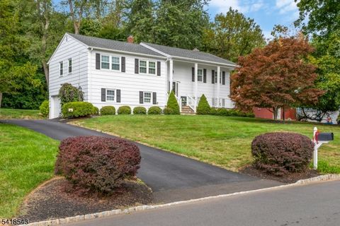 8 Beechwood Rd Bernards Twp. NJ 07920
